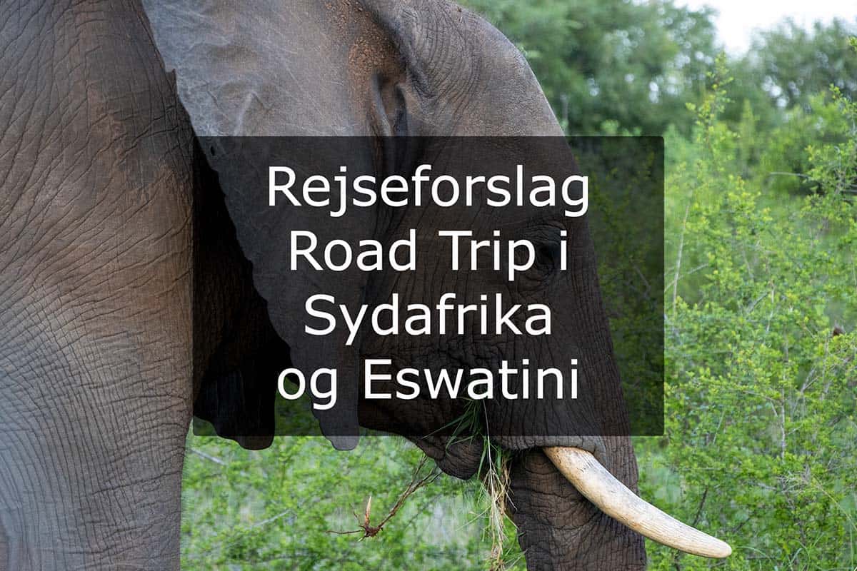 Rejseforslag Road Trip i Sydafrika og Eswatini