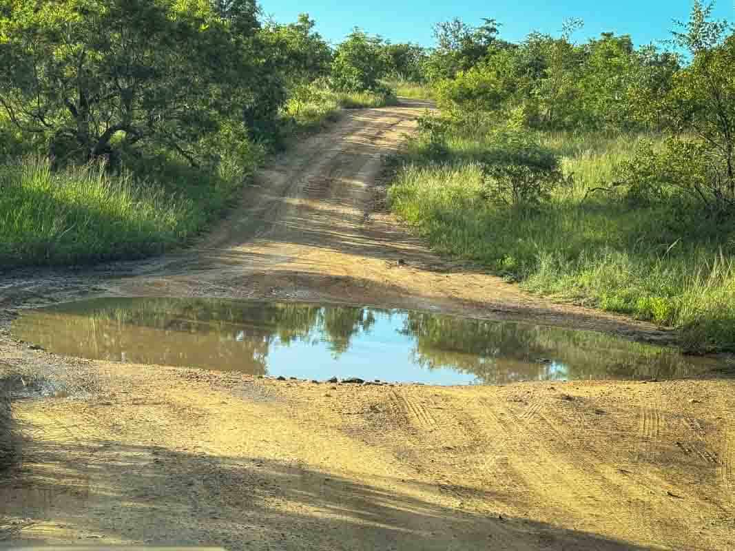 Rejseforslag Road Trip i Sydafrika og Eswatini