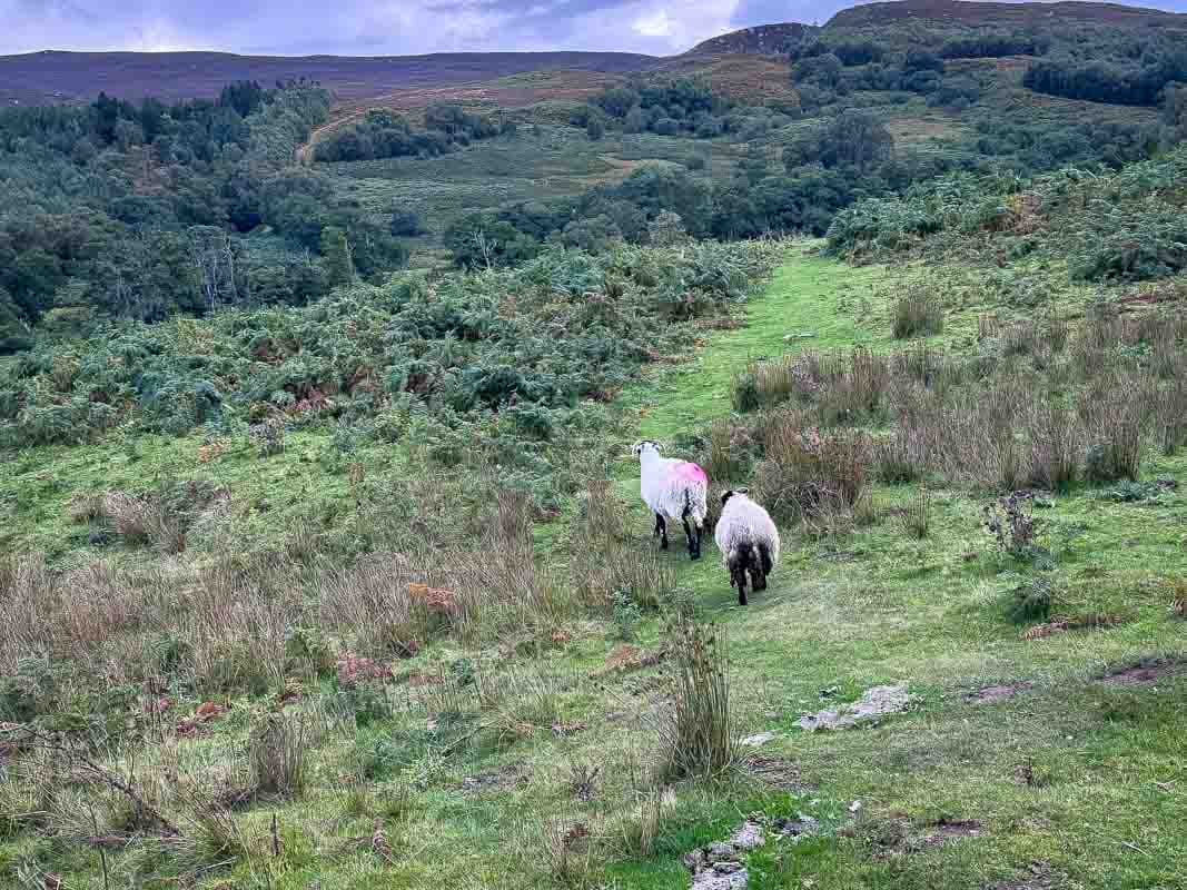 Oplevelser i Northumberland National Park – England