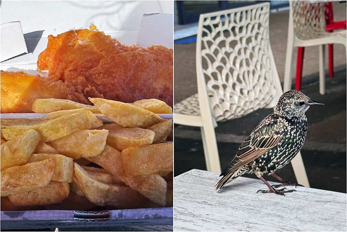 Oplevelser ved Nordenglands kyst - England