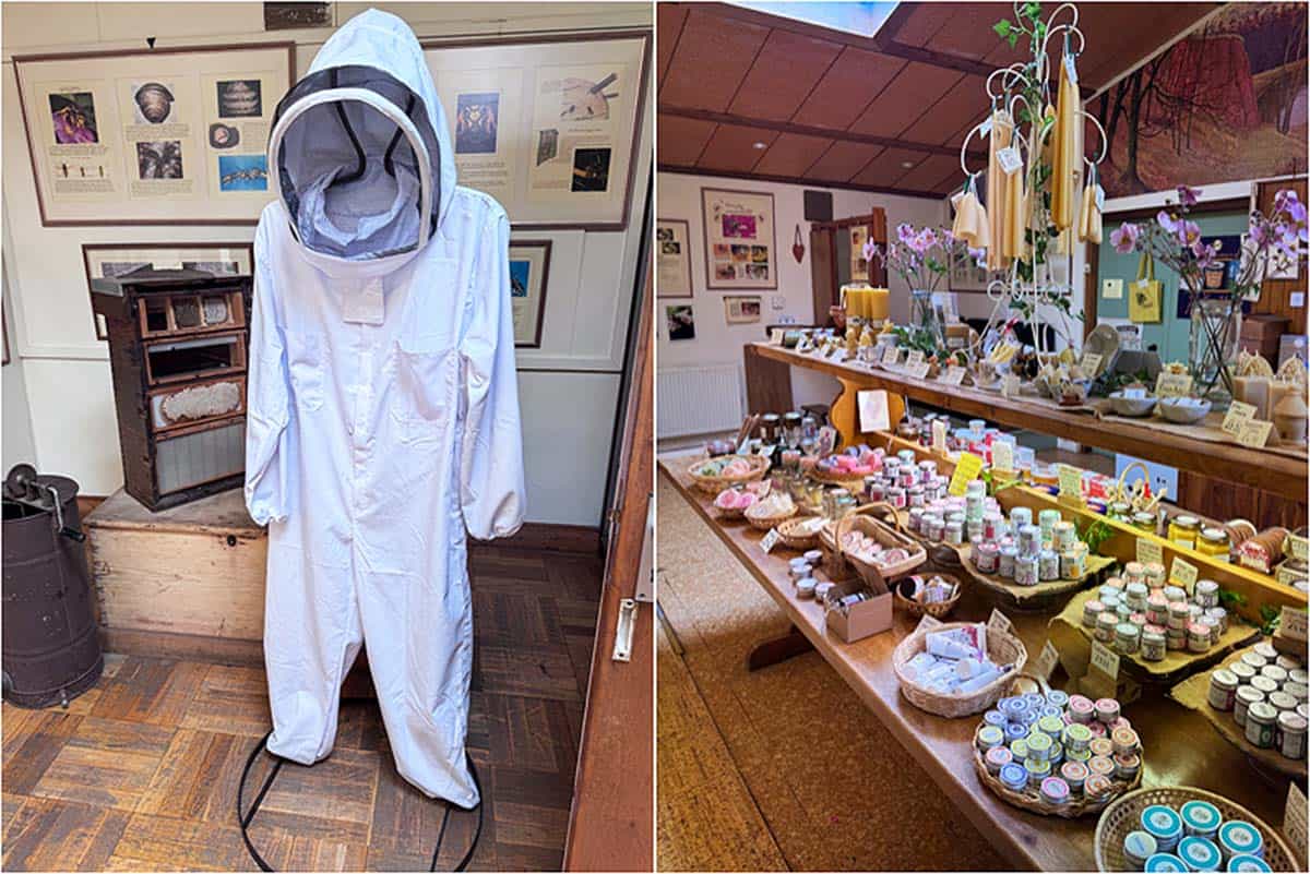 Oplevelser ved Nordenglands kyst - England