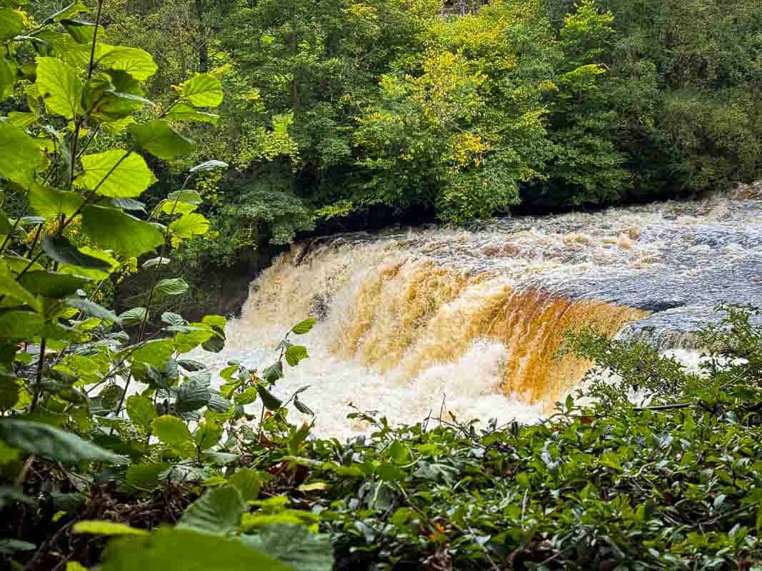 Oplevelser i Yorkshire Dales National Park og omegn – England