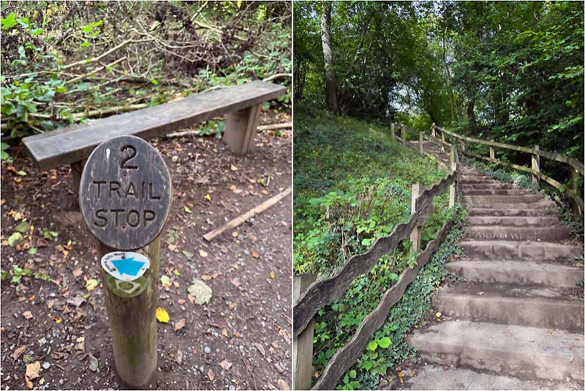 Oplevelser i Yorkshire Dales National Park og omegn – England