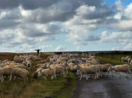 North York Moors National Park – England