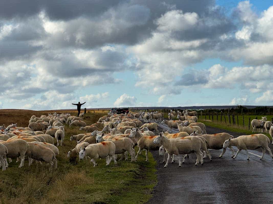 Rejseforslag Road Trip i Nordengland