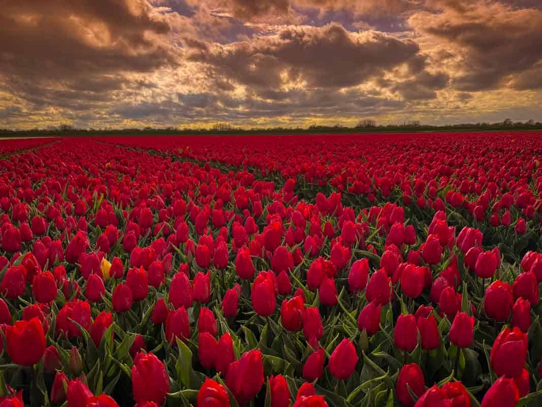 Oplevelser på Goeree-Overflakkee - Holland