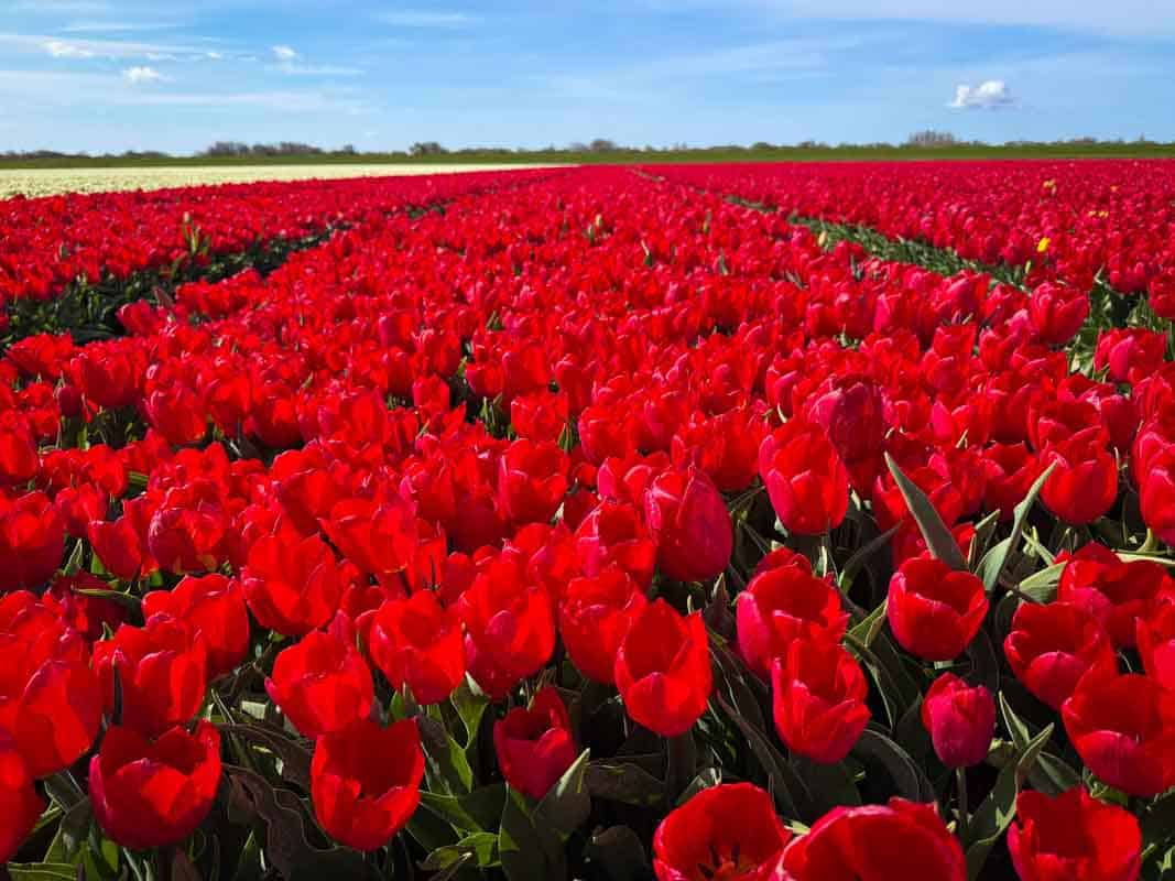 Oplevelser på Goeree-Overflakkee - Holland