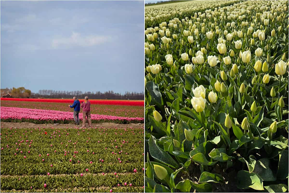 Oplevelser på Goeree-Overflakkee - Holland