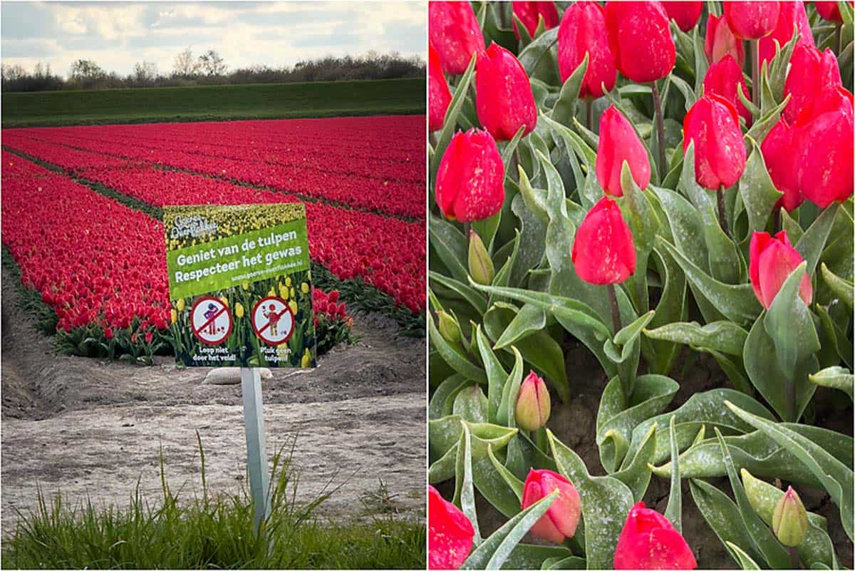 Oplevelser på Goeree-Overflakkee - Holland